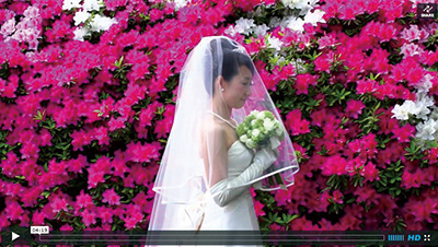 結婚式ビデオ撮影サンプル